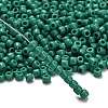 TOHO 6/0 Round Beads SEED-TR06-0055D-2