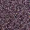 MIYUKI Round Rocailles Beads SEED-JP0010-RR3206-3