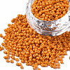 12/0 Glass Seed Beads SEED-S060-A-F429-1