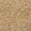 MIYUKI Round Rocailles Beads SEED-X0055-RR0161-3