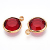 K9 Glass Charms X1-GLAA-T023-37A-04-2
