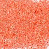 8/0 Transparent Glass Seed Beads SEED-F003-03B-11-3