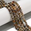Natural Agate Beads Strands G-M437-B01-02-5