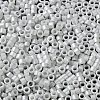 Baking Paint Glass Seed Beads X-SEED-S042-15A-01-4