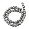 Natural Map Stone/Picasso Stone/Picasso Jasper Beads Strands G-T053-10mm-04-2