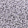 MIYUKI Delica Beads SEED-X0054-DB0429-2