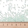 TOHO Round Seed Beads SEED-TR11-PF2118-3