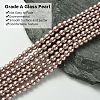 Eco-Friendly Dyed Glass Pearl Round Beads Strands HY-A008-6mm-RB046-3
