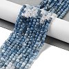 Natural Aquamarine Beads Strands G-B088-E10-04-3
