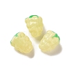 Handmade Lampwork Beads Strands LAMP-G162-05D-2