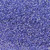MIYUKI Delica Beads SEED-J020-DB0243-2
