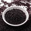 MIYUKI Round Rocailles Beads X-SEED-G008-RR0153-2