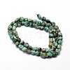 Natural African Turquoise(Jasper) Nuggets Beads Strands X-G-J335-43-2