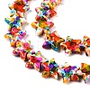 Spray Painted Synthetic Turquoise Beads Strands LS-UNKW-T001-11D-3