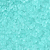 FGB Frosted Transparent Glass Seed Beads SEED-N013-06A-10-3