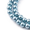 Shell Pearl Beads Strands BSHE-K015-4mm-02-3