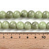 Baking Paint Glass Beads Strands DGLA-N013-10mm-05-4