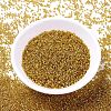 MIYUKI Delica Beads SEED-MY11-DB2157-2