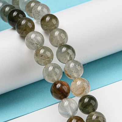 Natural Green Lodolite Quartz/Garden Quartz Beads Strands G-R494-A07-03-1