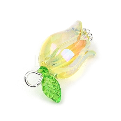 Acrylic Pendants X-PALLOY-JF03534-02-1