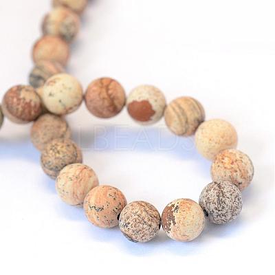 Frosted Natural Picture Jasper Round Bead Strands G-E334-10mm-26-1