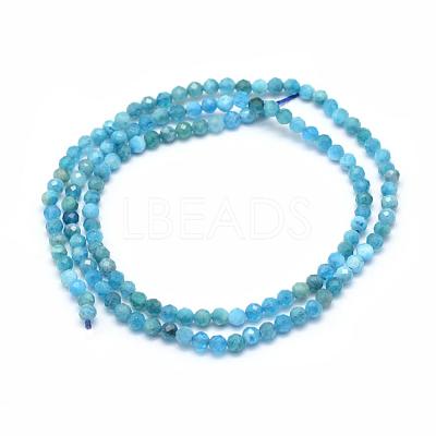 Natural Apatite Beads Strands G-E411-36-3mm-1