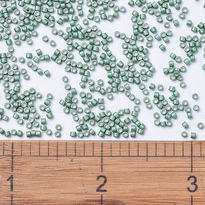 MIYUKI Delica Beads X-SEED-J020-DB1171-1