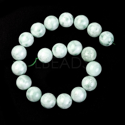 Natural Glass Beads Strands G-I247-31H-1