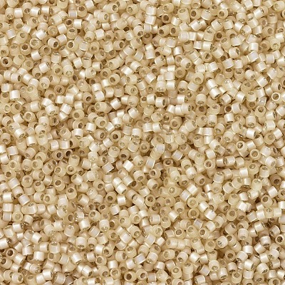 MIYUKI Delica Beads SEED-X0054-DB0621-1