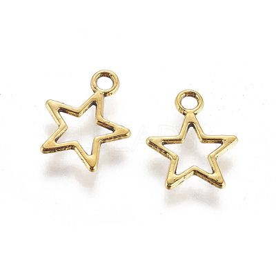 Tibetan Style Alloy Charms GLF10651Y-1