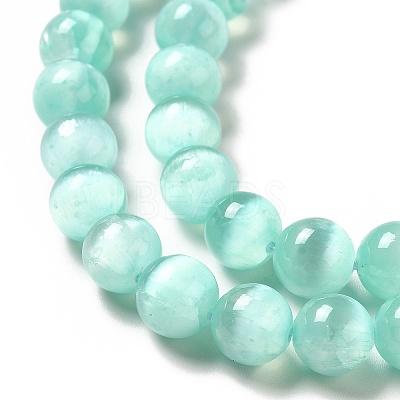 Natural Selenite Beads Strands G-P493-01G-1