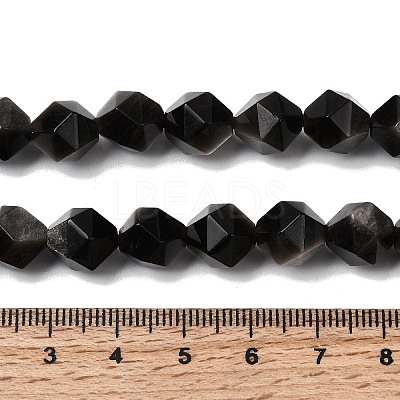 Natural Silver Obsidian Beads Strands G-Z119-A11-03-1