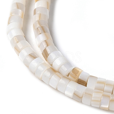 Natural Freshwater Shell Beads Strands X-SSHEL-C013-04A-1