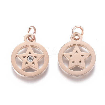 316 Surgical Stainless Steel Charms STAS-L242-04-1