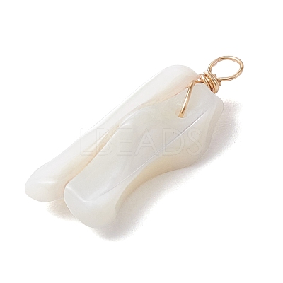 Natural Trochid Shell Pendants PALLOY-JF02809-02-1