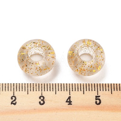 Transparent Acrylic European Beads TACR-P009-A01-03-1