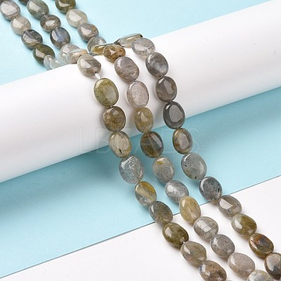 Natural Labradorite Beads Strands G-C238-37-1