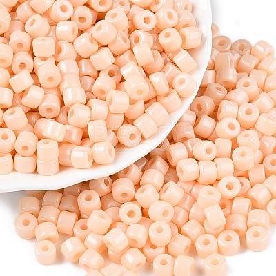 Opaque Baking Paint Glass Seed Beads X-SEED-T008-02C-1