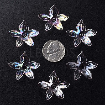 Transparent Acrylic Beads LS-MACR-S373-102-C02-1