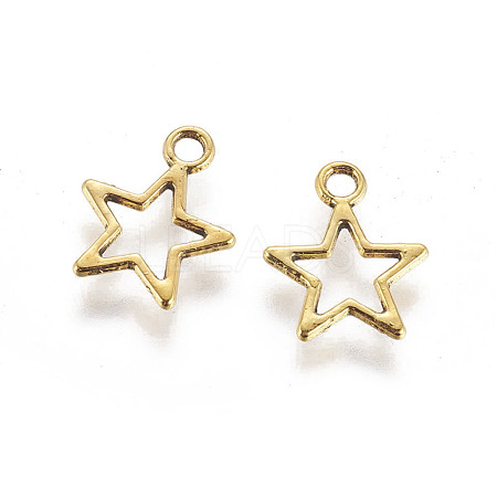 Tibetan Style Alloy Charms GLF10651Y-1