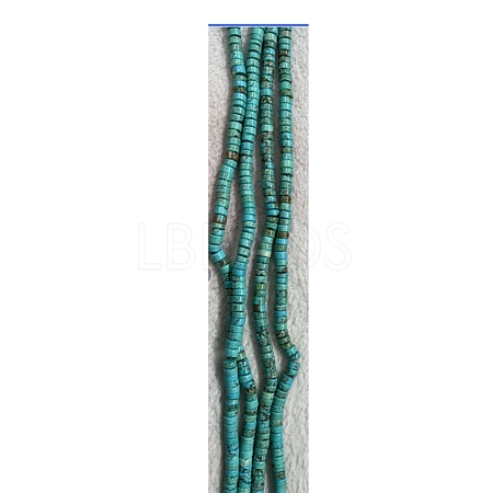 Natural Howlite Beads Strands G-WH0029-01-1