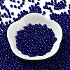 Baking Paint Glass Seed Beads SEED-H002-I-A517-2