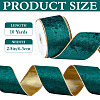 Polyester Velvet Ribbons SRIB-WH0011-356C-2