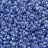 8/0 Glass Seed Beads X1-SEED-A011-3mm-146-2