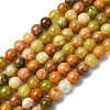 Natural Green Opal Beads Strands G-K245-A17-A02-2