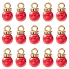 ABS Plastic Charms KY-YW0001-24C-1
