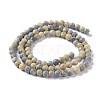 Natural Yellow Turquoise(Jasper) Beads Strands G-H245-02A-2