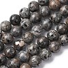 Natural Fluorescent Syenite Rock(Glow under UV Light) Beads Strands G-G789-02E-2