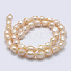 Natural Cultured Freshwater Pearl Beads Strands PEAR-K004-03B-01-2