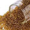 TOHO 8/0 Round Beads X-SEED-TR08-2156-1